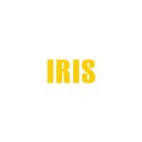 iris iris